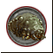Потреявшийся гусениц